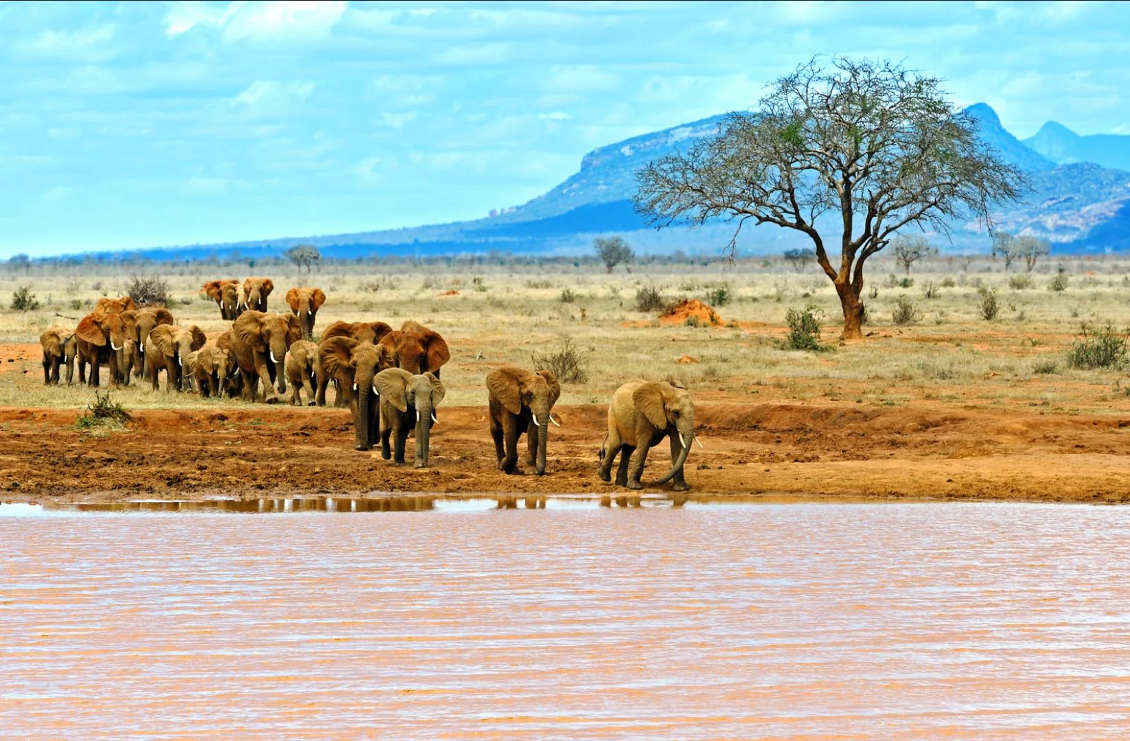 Kenya: moments on the journey